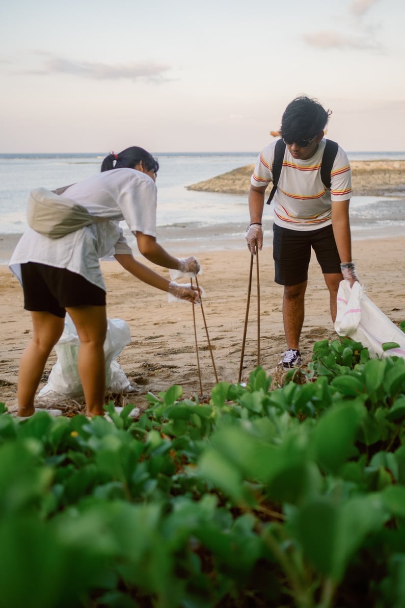 People Cleaning the Trash in Shoreline